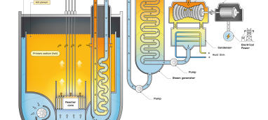 Schematic view of a Sodium-cooled Fast nuclear Reactor (SFR)