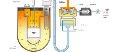 Schematic of a lead cooled fast nuclear reactor (LFR)