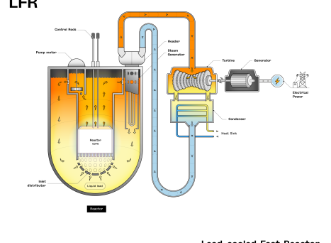 Schematic of a lead cooled fast nuclear reactor (LFR)