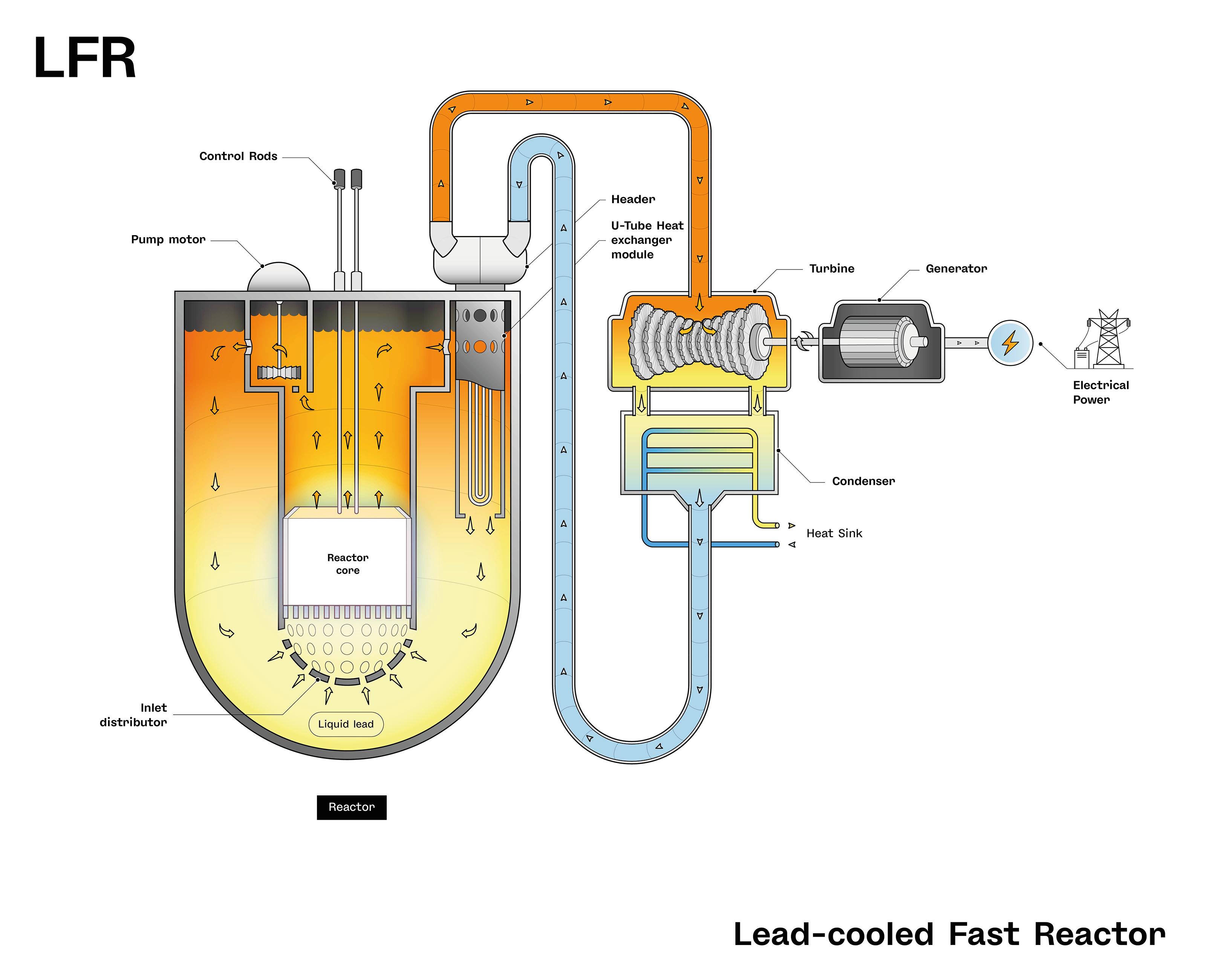 Schematic of a lead cooled fast nuclear reactor (LFR)