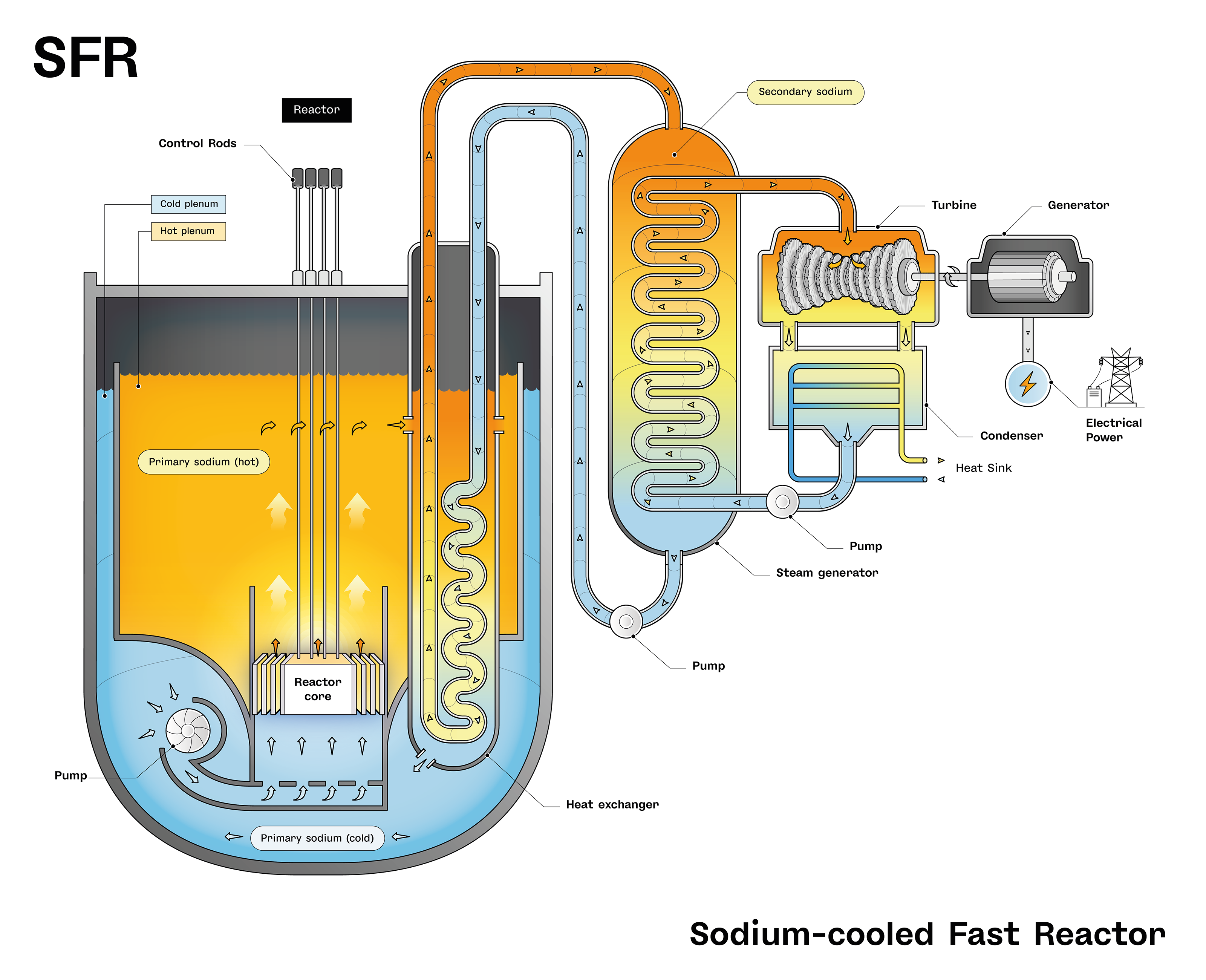 Schematic view of a Sodium-cooled Fast nuclear Reactor (SFR)