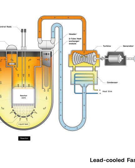 Schematic of a lead cooled fast nuclear reactor (LFR)