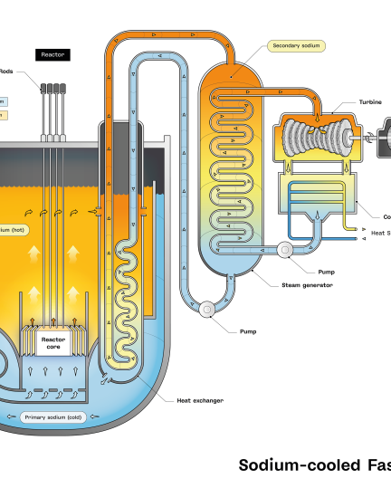 Schematic view of a Sodium-cooled Fast nuclear Reactor (SFR)