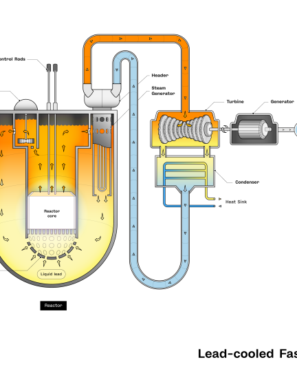 Schematic of a lead cooled fast nuclear reactor (LFR)